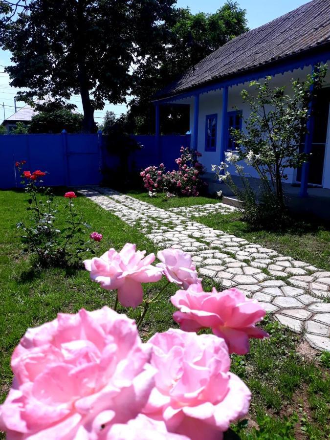 Casa Pavel Jurilovca Villa Exteriör bild