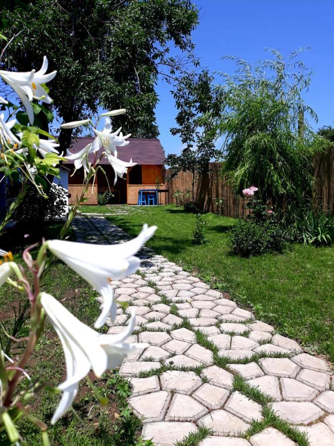 Casa Pavel Jurilovca Villa Exteriör bild